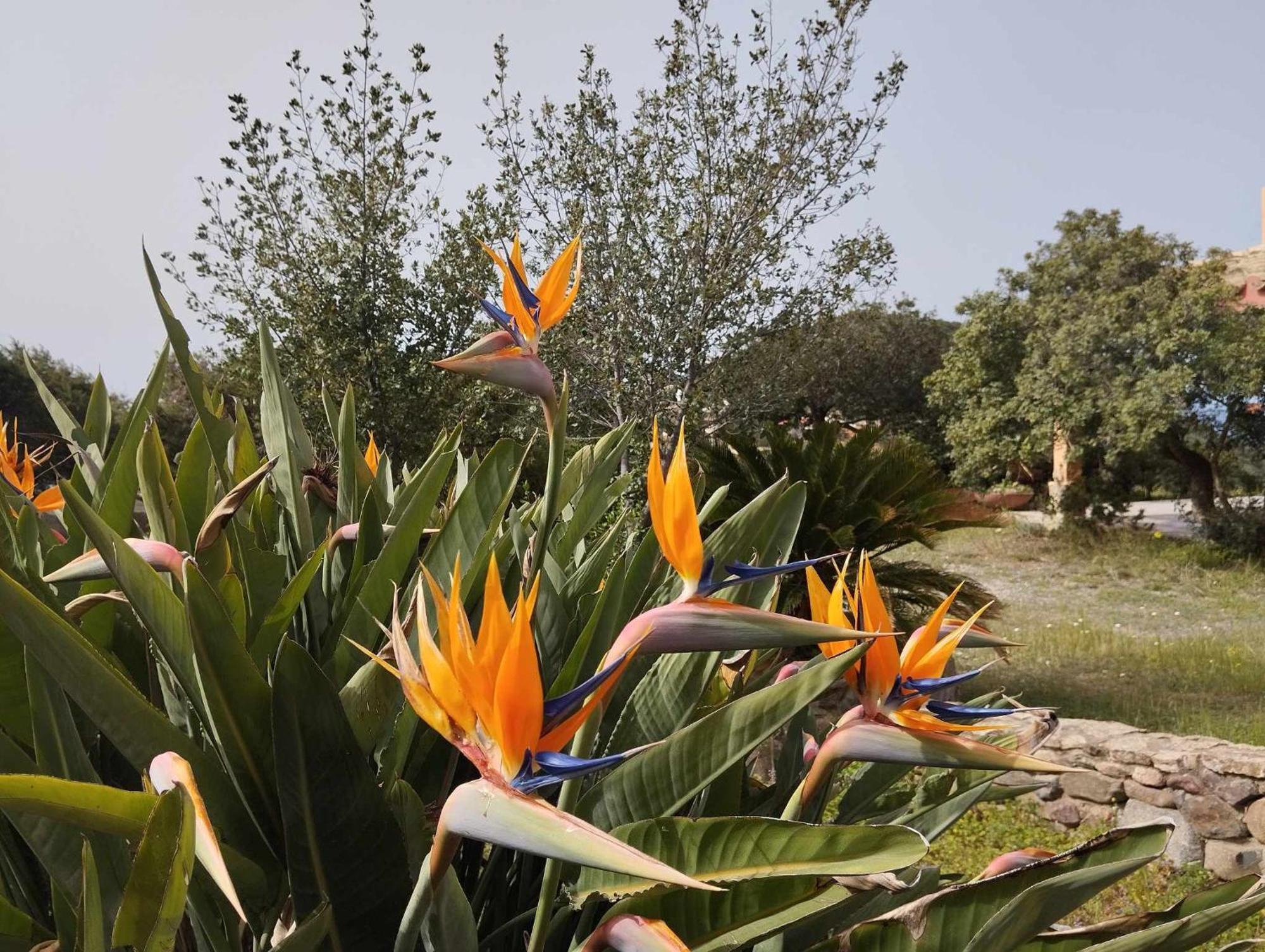 Holiday Home Riccio Di Mare Sardinia Marongiu Exteriör bild